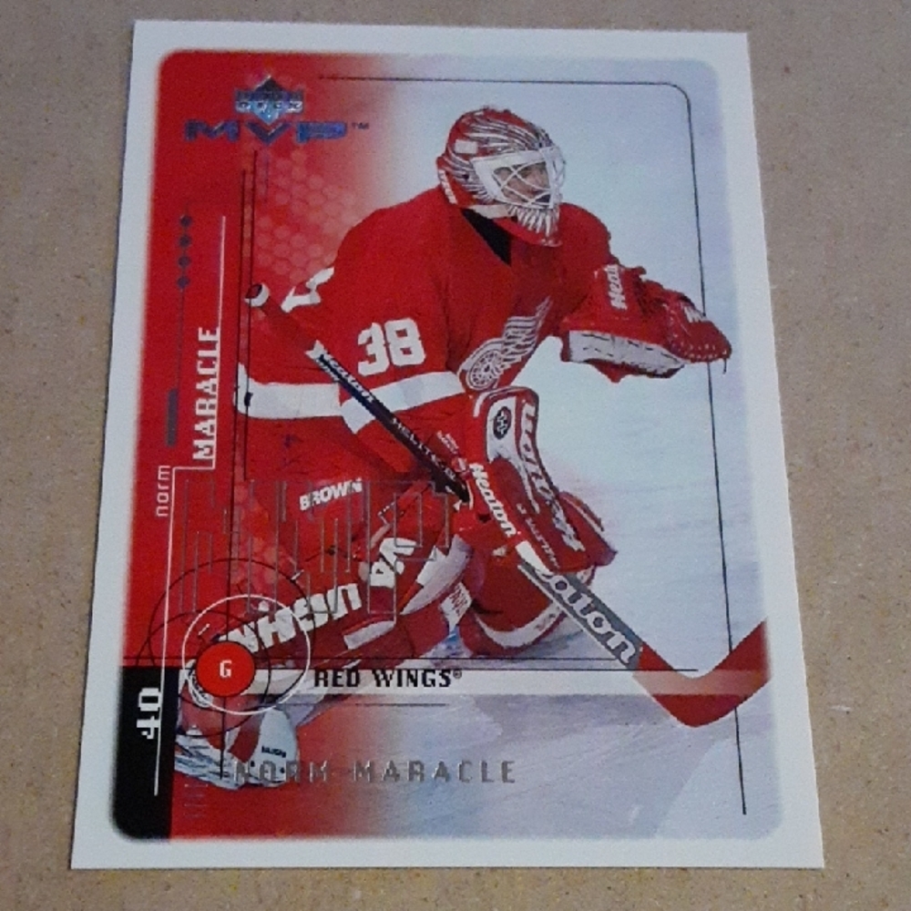 Red Wings Hockey Parallel Trading Card